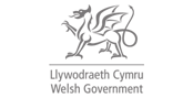 welsh government